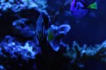 IMG_0053.JPG