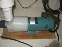 IMG_8849.jpg
