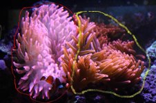 Copy of IMG_5436.jpg