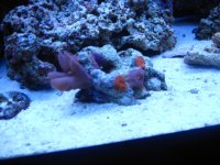 IMG_1985.jpg