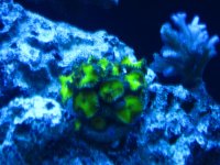 IMG_1986.jpg
