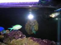 DSCN0530.jpg