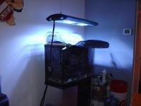 light3.JPG