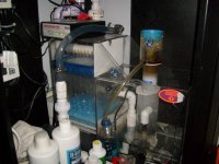 MY TANK 004.jpg