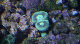 DSCI0126.jpg