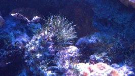 IMG_2832.jpg