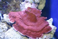 IMG_5548.jpg