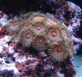 DSC03389_.jpg