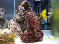 35g2.jpg