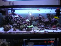 new to rc 061.JPG