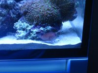 elos tank pics 006.jpg