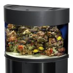 bow front canopy.jpg