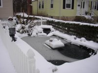 snow 2009.jpg