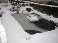 snow 2009 pic1.jpg