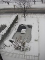 snow 2009 pic3.jpg