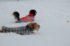 DSC_0049.JPG
