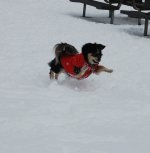 DSC_0072.JPG