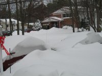 IMG_1210.jpg