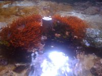 IMG_0383.jpg