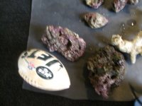 IMG_0284.jpg