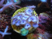 fish tank 1 006.jpg