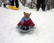 Sledding.jpg