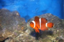 IMG_5891.JPG