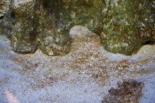 IMG_5974.JPG