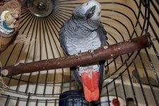 IMG_5881.JPG