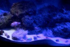 IMG_5909.jpg