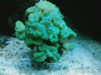 IMAGE22.jpeg