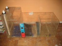 IMG_2233_2.jpg