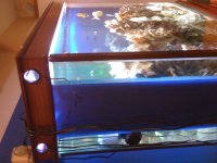IMG_0225.jpg