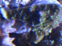 IMG_0026.jpg