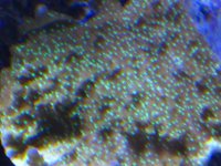 Img_0027.jpg