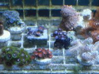 DSCF0475.jpg