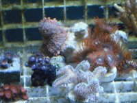 DSCF0471.jpg