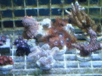 DSCF0478.jpg