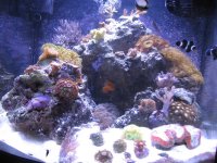 fts13.JPG