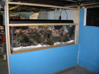 IMG_2476.JPG