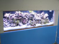 IMG_2493.JPG