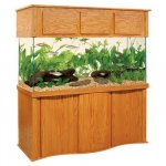 Perfecto 75 canopy.jpg