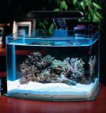 Pico tank.jpg