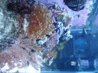 DSC02085.jpg