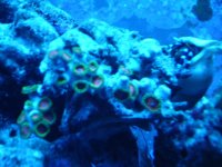 DSC02106.jpg