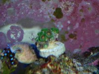 DSC02108.jpg