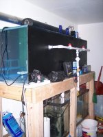 100_2022.jpg