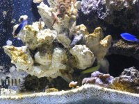 DSCF6870.jpg
