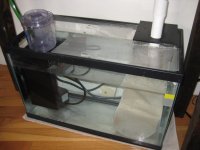 2009 Saltwater aquarium 033.jpg