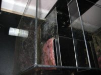 IMG_5446.jpg